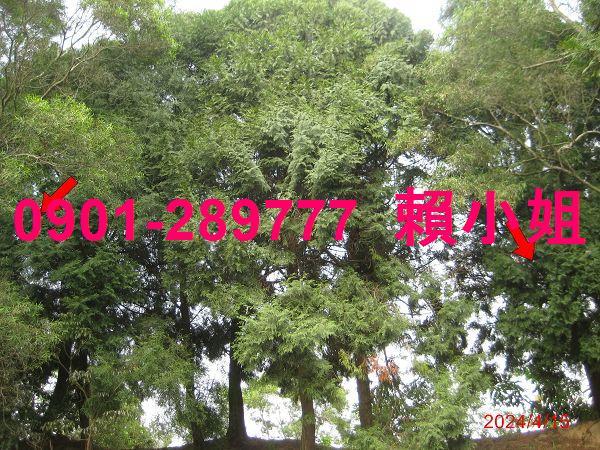 苗栗透天法拍-6