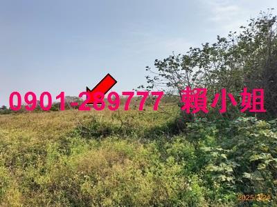 彰化竹塘法拍畜牧設備-2