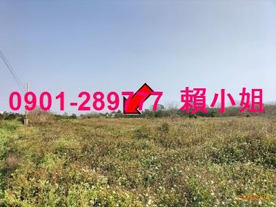 彰化竹塘法拍畜牧設備-3