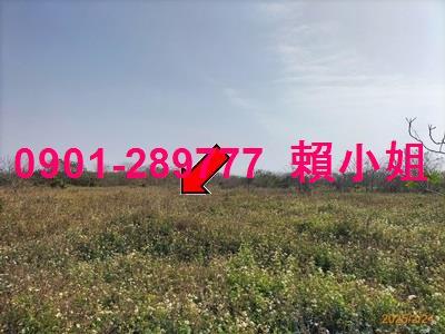 彰化竹塘法拍畜牧設備-4