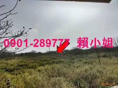 彰化竹塘法拍畜牧設備-5