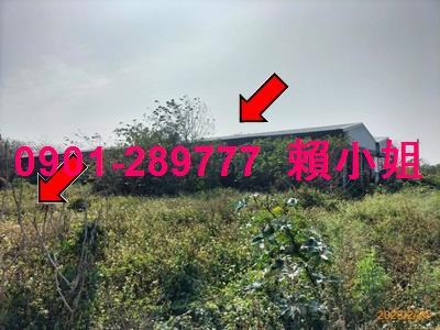 彰化竹塘法拍畜牧設備-6