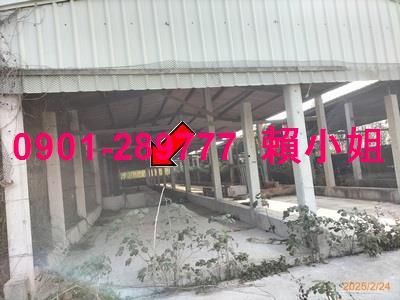 彰化竹塘法拍畜牧設備-8